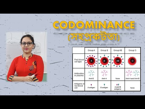 CODOMINANCE || সহপ্রকটতা || Genetics || Life Science || Biology || BioStudy Pathshala
