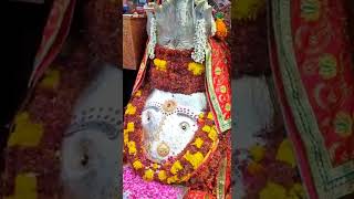 Good Morning everyone | Have a great day | Jai Kalka Maa | #yashbjkm | #goodmorning