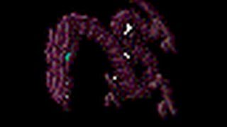 Tibia~Tyrn(LB) Solod by Eturnally (Dolera) Supreme