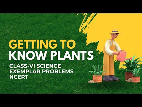 CLASS 6 GETTING TO KNOW PLANTS | SCIENCE | EXEMPLAR QUESTIONS SOLUTION