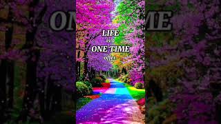 "Secrets to Acing Exams: Study Quotes Unveiled!"#studyquotes  #inspirationalquotesaboutlifeai#shorts