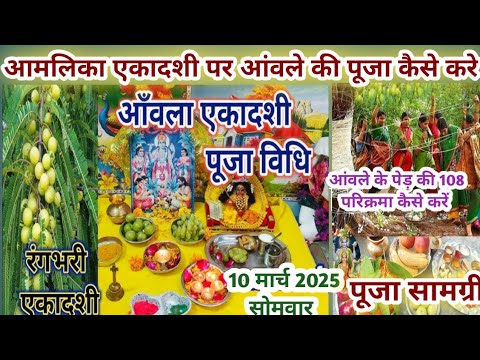 आंवला एकादशी की पूजा कैसे kare/amla ekadashi puja vidhi/amle ke ped ki puja kaise kare/parikrama