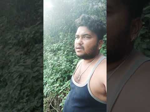 १७ नोव्हेंबर, २०२१