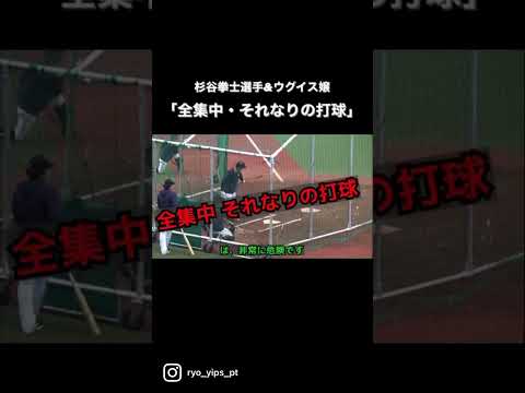 【日ハム】杉谷拳士「全集中·それなりの打球」西武ウグイス嬢いじり
