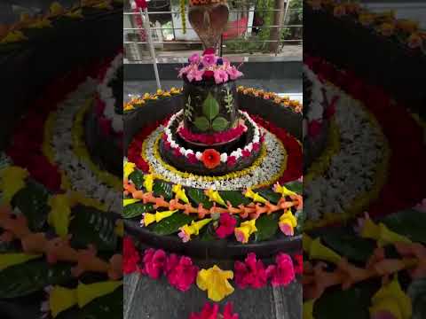 Maha Mruthyunjayaya Mantra|  whatsapp status | instagram story | lord shiva shorts