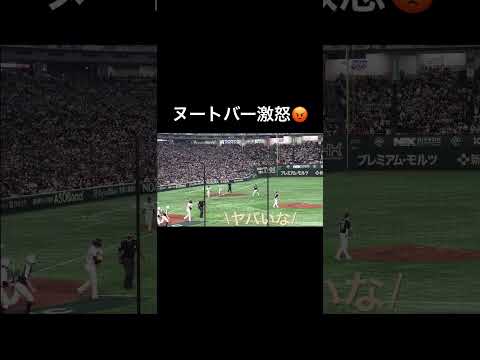 ヌートバー背面死球で相手を睨みつける #wbc2023 #侍ジャパン #ヌートバー