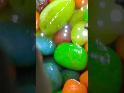 TORTOISE# new video #please_subscribe_my_channel