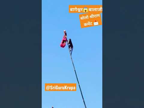 बोलो जय बालाजी🙏 Bajarang bali❤️#hanumanji #viral #monkey #shortvideo #status #Shorts #bageshwardham