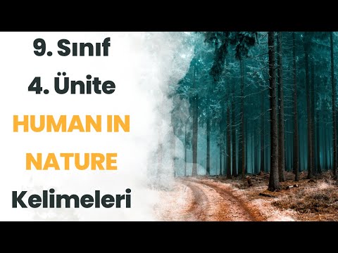 9. SINIF İNGİLİZCE 4. ÜNİTE HUMAN IN NATURE KELİMELER - TEST + PDF