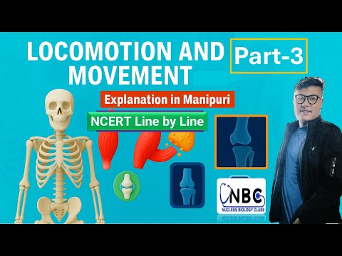 Locomotion and Movement || Part-3 || Online NEET UG Foundation Course #ncert #neet