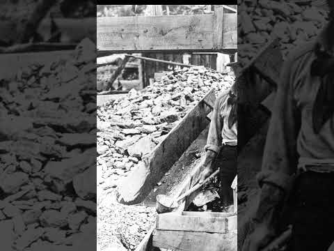 1800's BC Gold Rush ... The "Caledonia Claim" on Williams Creek, Barkerville, Cariboo, BC