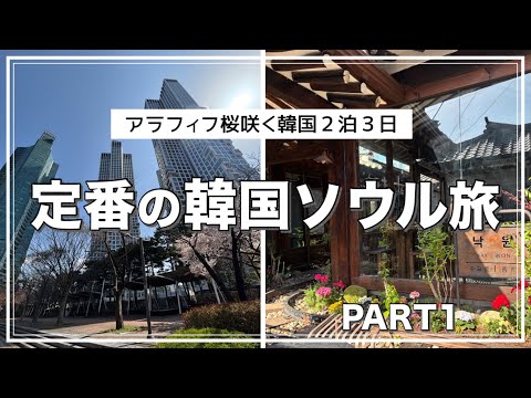【アラフィフ旅】桜が咲く韓国２泊３日の旅/明洞、聖水、益善洞