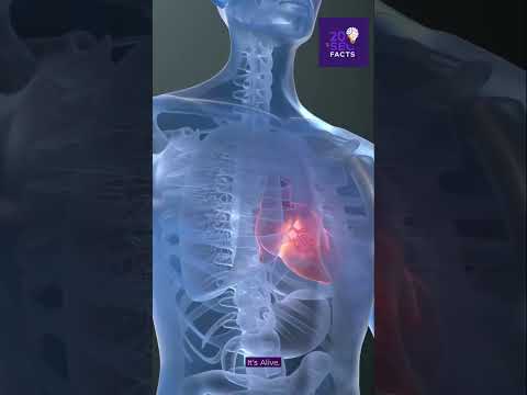 Your Heart Can Beat Outside Your Body 😳 #beatingheart #scienceexplained #humanheartfacts #quickfacts