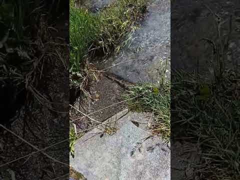 I laghi della Valle d'Aosta pt.2 #laghi#valledaosta#vacanza