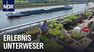 Unterweser: Mit Hafenkante, Großstadtflair und Inselidylle | die nordstory | NDR Doku