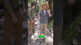 Mayan Cave of Life: Sacred Ceremony & Ancient Beliefs