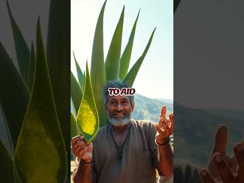 Unlocking Aloe Vera: The Secret to Ultimate Health Transformation!