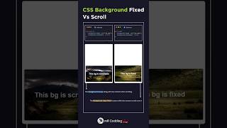 Background Fixed Vs Scroll Using html css #mrcodding #coding #shorts #htmlcss #shortfeed