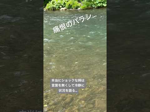 北海道！延べ竿で痛恨のバラシ！♯北海道♯延べ竿♯渓流釣り