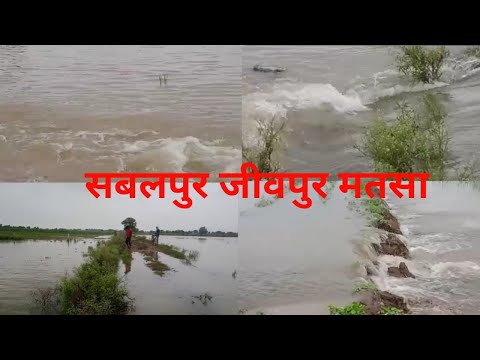 सबलपुर जीवपुर मतसा  जमानिया Ganga flooded again/LatestUpdate Ganga Flood 2025 #rasidahamad #Ganga 