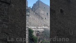 Castello di Appiano + una guardia pigra 😀😀😀 #luoghidavisitare #nature #travel #ambiente #hiking