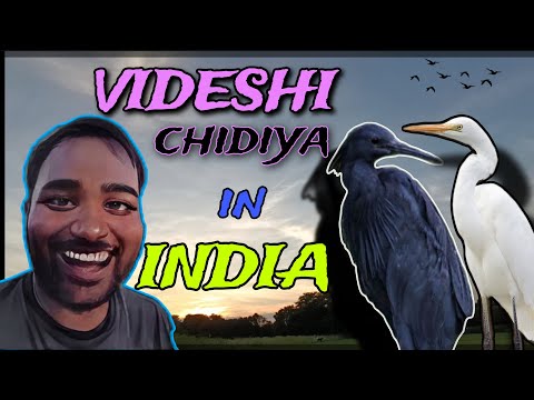 Discover the Real beautiful location || 🫶 || Dekha nahi hoga kabhi Aisha nazara | #viral #subscribe
