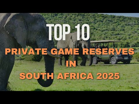 Top 10 Private Game Reserves in South Africa | Luxury Safari Experiences & Untamed Wilderness