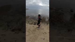 Summer is waving #beach #beachlife #teampalibot