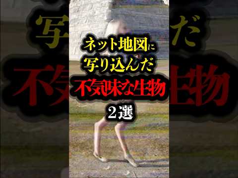 ネット地図に写り込んだ不気味な生物 2選 #都市伝説 #ミステリー  #youtubeショート