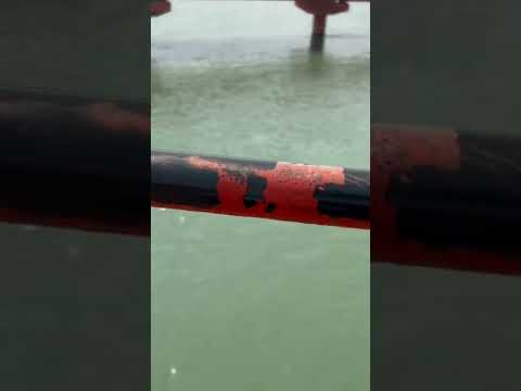 Har Ki Pauri #Haridwar #Shorts #shorts #Ganga