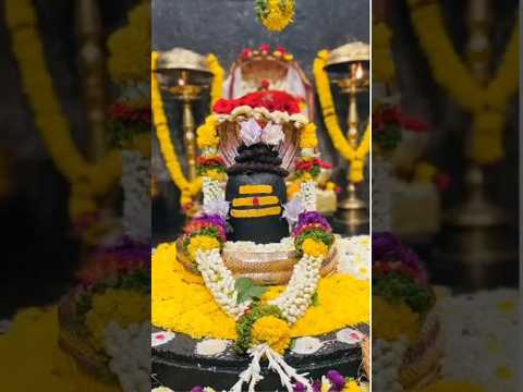 Mahakaal 🕉️🙏🤗 #devonkedevmahadevsongs #mahaakal #mahadev #devostional #newsong