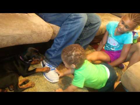 Eric meets Dani the Doberman