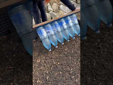 Homemade tool for quick planting #gardening #gardeningtips #shorts