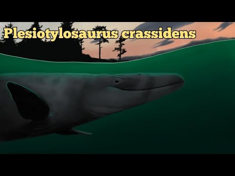 Todo sobre Plesiotylosaurus crassidens
