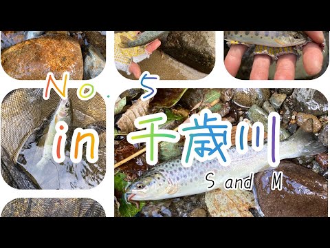 【渓流餌釣り】初めて入渓の千歳川へ行ってきました。人気の川でどんな魚が釣れるのでしょうか。