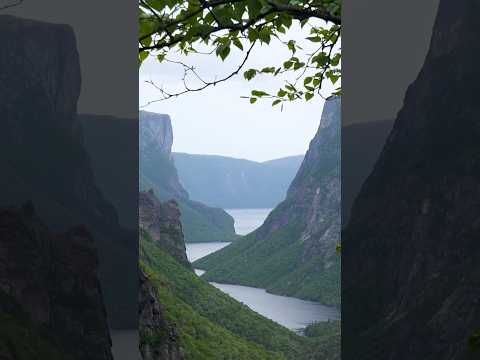 Gros Morne, Newfoundland, Canada.