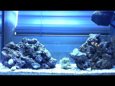 Fluval EVO V Marine