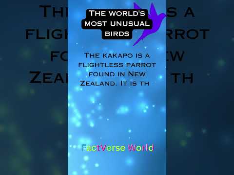 Bird Facts #viralshorts #birds