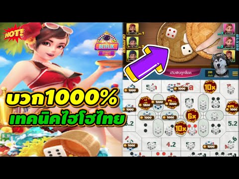 ไฮโลไทย|hilothai :บวก1000%