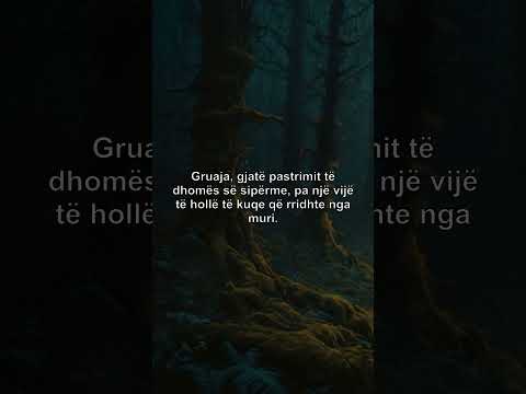 Shtëpia me mure që rrjedhin gjak – Shijak, 1993 #shorts #story