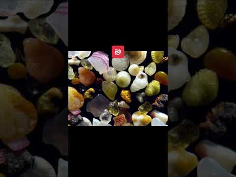 顕微鏡で見た本当の姿 microscope #shorts #wisdom #tiktok