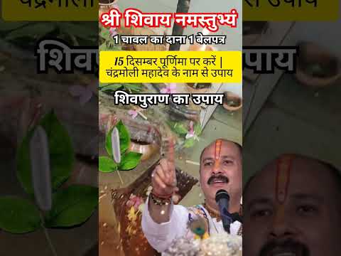 15 दिसम्बर पूर्णिमा पर करें | चंद्रमोली महादेव के नाम से उपाय 1चावल 1बेलपत्र #पूर्णिमा #shorts