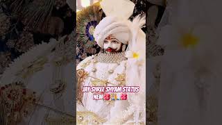 Vijay Rajput~ Khatu Wala Shyam Lakho Me Ek Hai | Sunil Sharma | New Khatu shyam bhajan Bhajan 2025🙏🌺