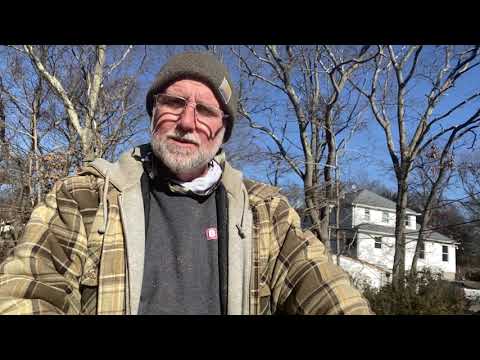 The Shed Building Business is Super Chill Way To Make a Great Living