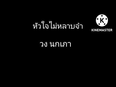 หัวใจไม่หลาบจำ  นกเภาโฟร์คซอง .เพลงแต่งเอง