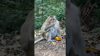#yummy #beautifulanimal #babyanimal