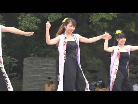 素敵なお姉さんたちの踊り