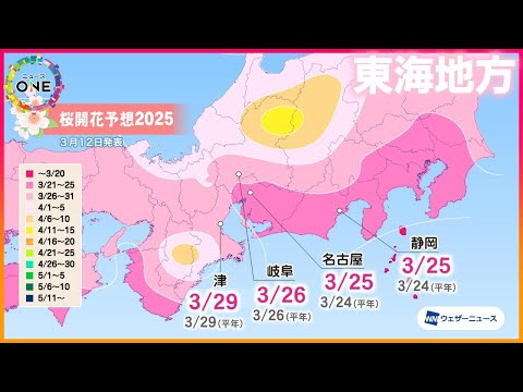 “最強最長寒波"もあったのに…2025年のソメイヨシノの開花はなぜ「平年並み」？ スマホを使ったA開花予想も