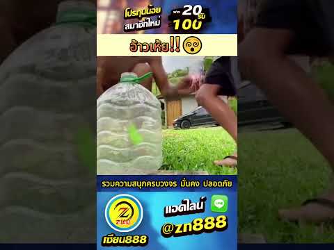 🚩สมัครคลิก » http://bitly.ws/Kg3m 🚩 #เกมสล็อต #โปรทุนน้อยสล็อตpg #20รับ100